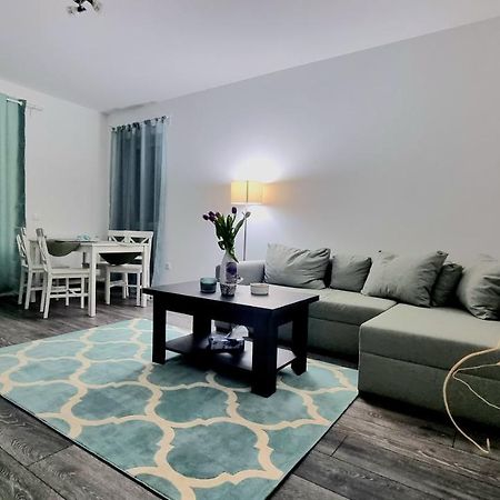 Swan Brasov Apartment מראה חיצוני תמונה