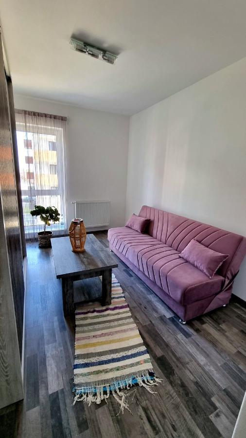 Swan Brasov Apartment מראה חיצוני תמונה
