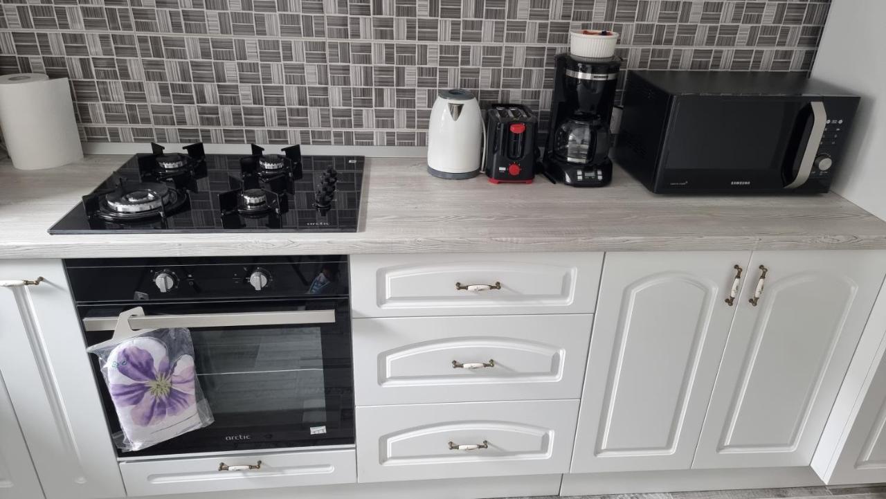 Swan Brasov Apartment מראה חיצוני תמונה