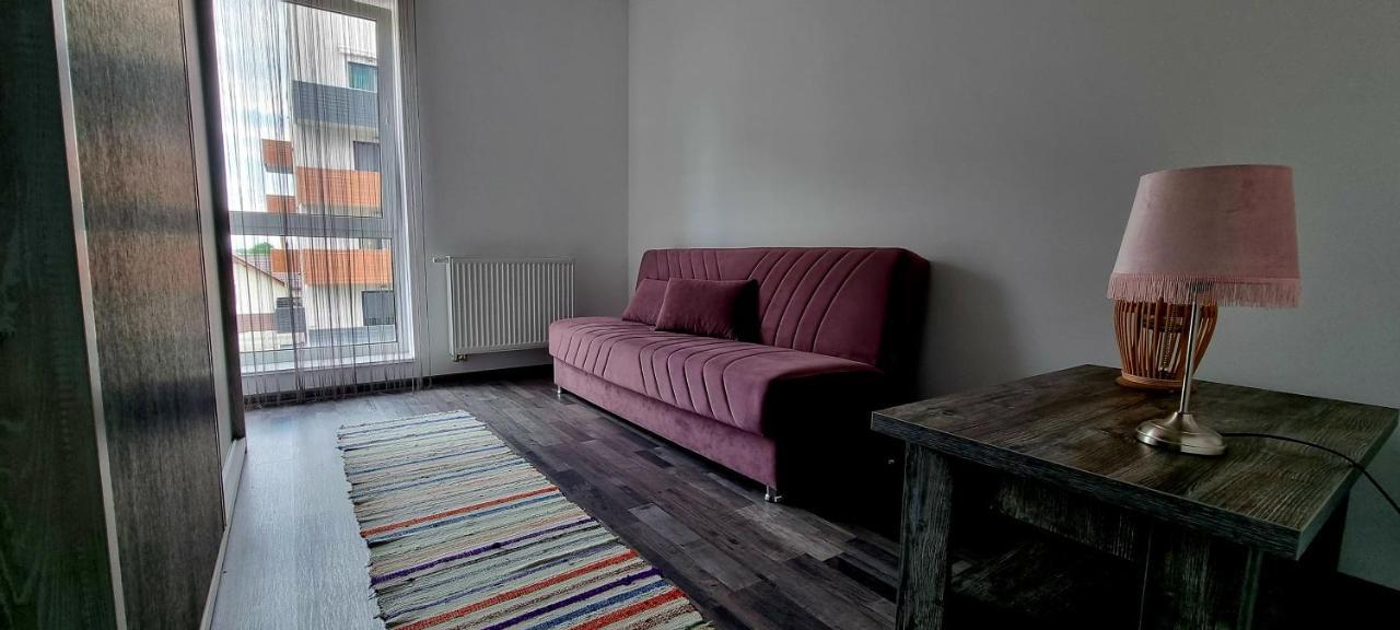 Swan Brasov Apartment מראה חיצוני תמונה
